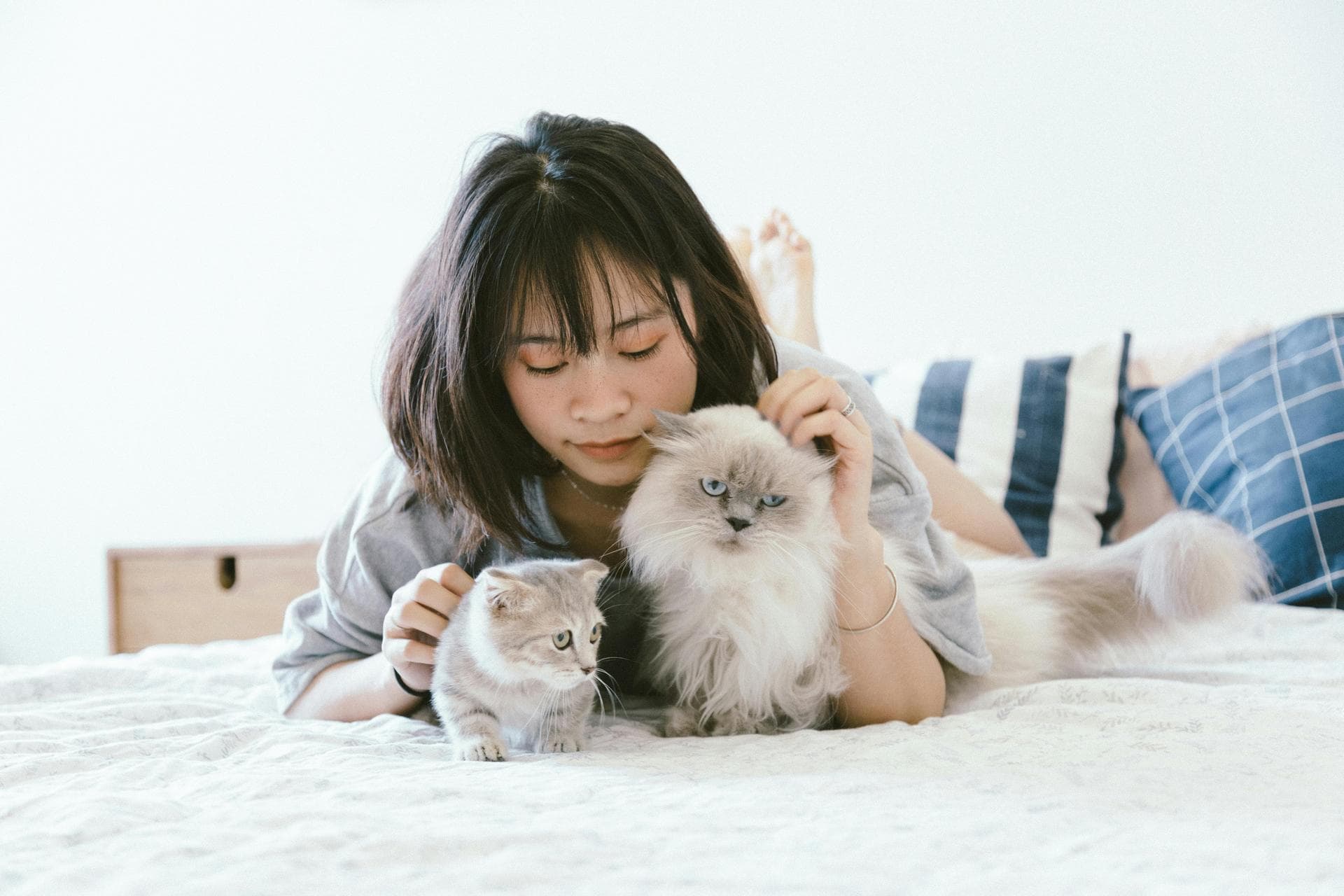 Annual Vaccination With Kennel Cough Prices in Nottinghamshire